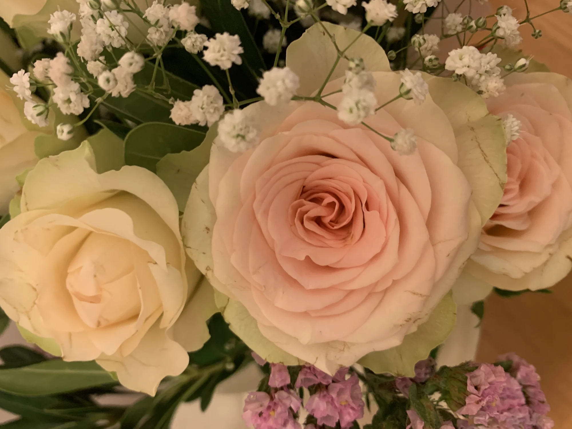 L'amore è un fiore tenace che sboccia in tutte le stagioni della vita